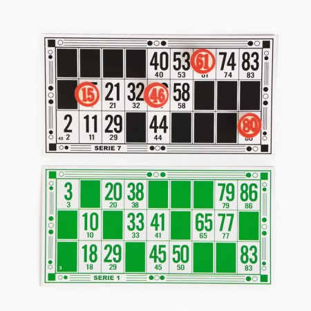 Russian lotto "Family", 12.5 x 20 cm-2