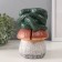 New Year's piggy bank "Snake on the mushroom" 11 x11 x 18 cm.