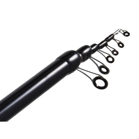 Salmo Diamond Bolognes Medium MF, test 5-20 g, length 4 m.-4