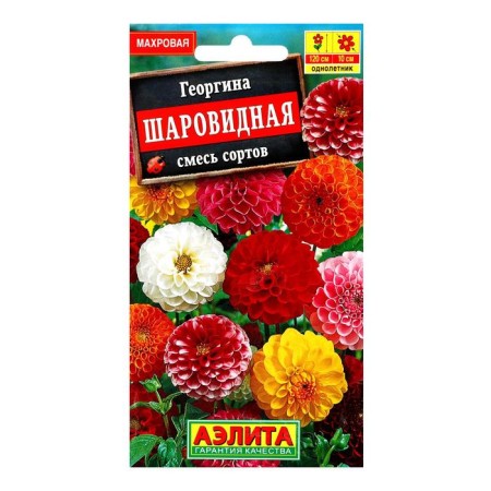 Georgin's flowers "spherical", a mixture of colors, o, 0.2 g-3