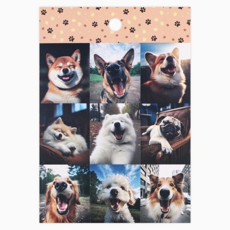 A set of paper stickers "Kotops", 10 pieces, 11 x 15.5 cm-6