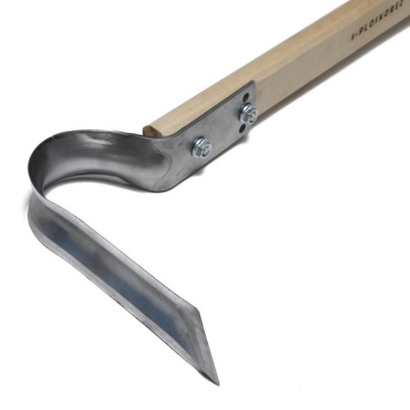 Ploskoret "Dust", a large, cutting side 15 cm, with a cuttings 115 cm-1