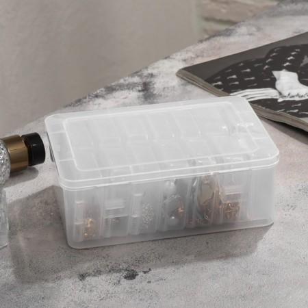 Antioxidative organizer for 14 cells, 16.5 × 12 × 6 cm, the color is transparent-3