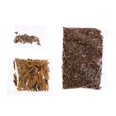Set for experiments "My mini-garden: dinosaurians", grow grass-4