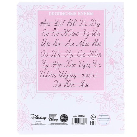 Notebook in a slanting ruler of 12 sheets, 5 types of mix, cover coated cardboard, cats aristocrats-12