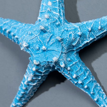 Interior souvenir "Marine Star" 13cm-2
