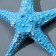 Interior souvenir "Marine Star" 13cm