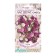 Gofrena flowers spherical las vegas, mixture, 10 pcs