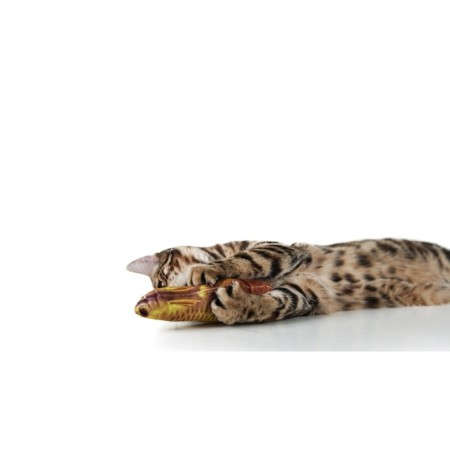 Toy "Fish of my dreams!" with cat mint, aravana, 20 cm-4