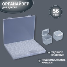 Organizer for decor, 56 cells, 21 × 17.2 × 2.5/2.5 × 2.5 × 2 cm, the color is transparent