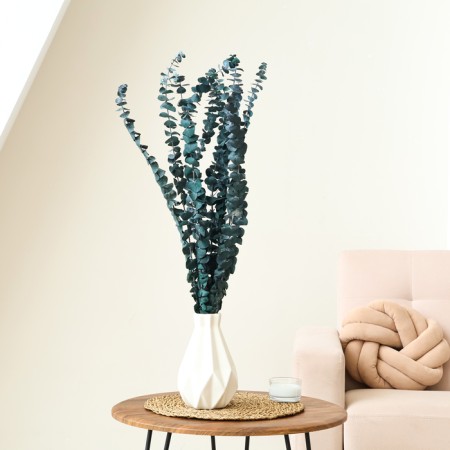 Sukhotzet "eucalyptus tree", blue, 10 pcs. packaged