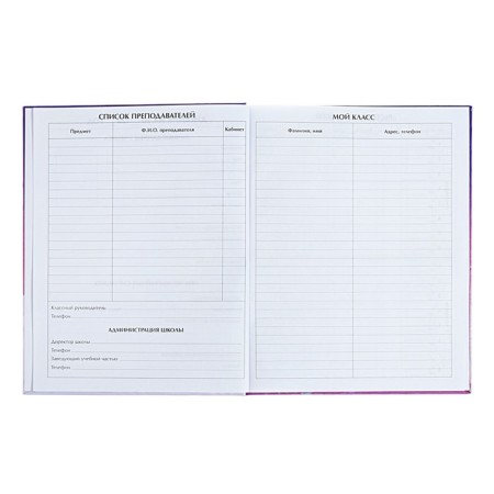 Diary for grades 1-4 "Amazing nearby", solid cover, glossy lamination, 48 sheets-4