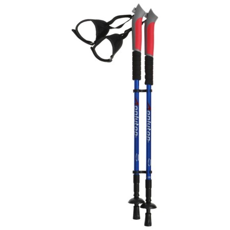 Sticks for Scandinavian walking online, telescopic, 3 sections, up to 135 cm, 2 pcs., Mix color-17