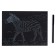 Engraving 18 × 24 cm, animals of Africa "fast zebra" (silver)