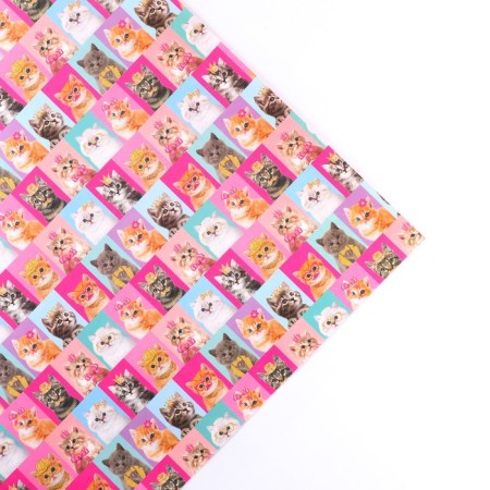 Two -sided craft packaging paper "cats", 70 x 100 cm-3