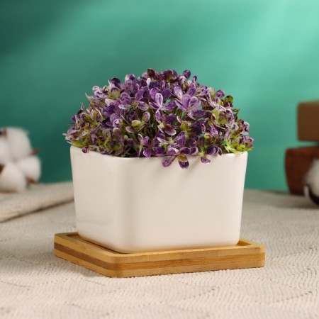 Pot "Eco Bonsai" 9.5x9.5x6.5cm