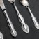 Set of cutlery "Slavyanka", 24 items, decorative box, silver color