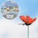 STETER "Butterfly Mabel" 4CM/27cm, set 12pcs, mix