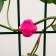 Clips for plants "fungus", set 10 pcs., Mix, Greengo