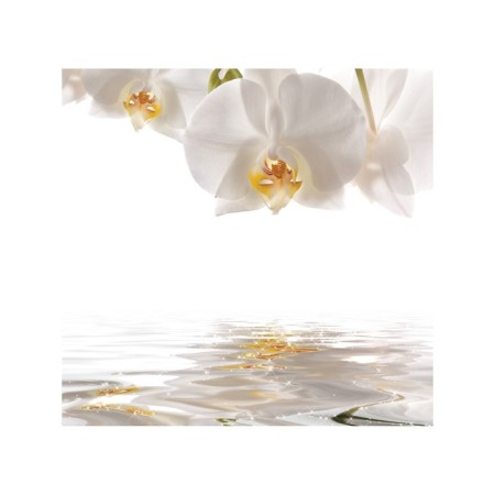 Organizer in a bath on suction “Flowers look into the future”, for storing toys and trifles, size 33x39 cm-1