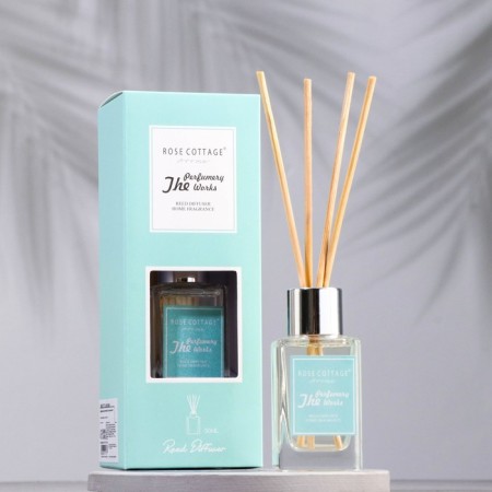 Aromatic Diffusor "Nyud", 30 ml, marine