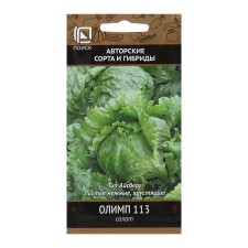 Salad Olympus seeds, 1g