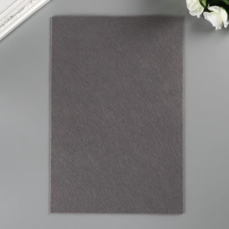 VETR "Blitz" 2.2 mm, hard 20x30 cm ± 2 cm (set 5 pcs) Assorted No. 5-1