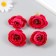 Budon on the leg for decoration "Pion charm" Raspberry 3.5x3.5 cm