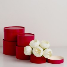 A set of hats 5 in 1, Bordeaux, 20 x 12.18 x 11.16 x 10.14 x 9.13 x 8.5 cm