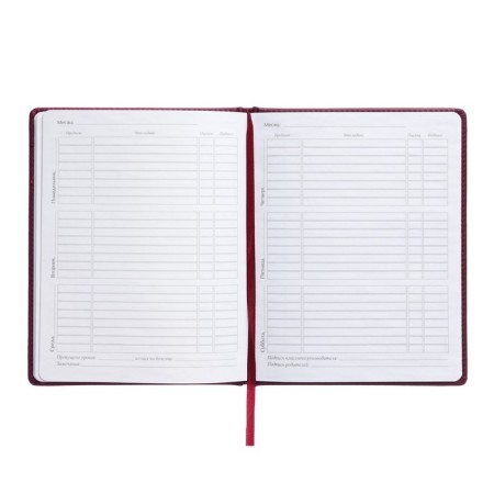 Universal diary for grades 1-11, 48 sheets, Velvet, solid cover, artificial leather, thermoting, liesse, Burgundia-7