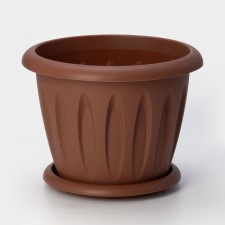 Pot with the pallet 