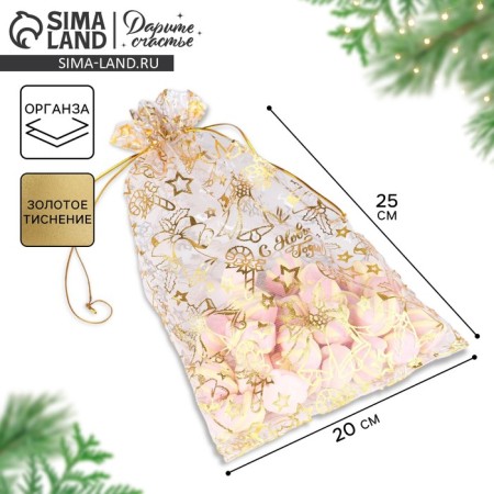 Bag Gift Organza "New Year's Dreams", 20 x 30 cm +/- 1.5 cm, New Year
