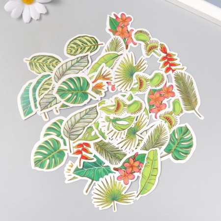 Stickers for creativity "Exotic leaves" embossing gold set 48 pcs 9x7x0.8 cm-2