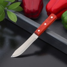 Knife for meat and steaks of the shade 