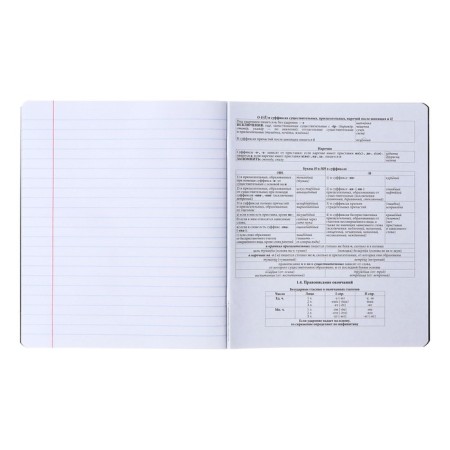 Subject notebook, 48 sheets, ruler, Russian language Erichkrause "Ves in the root", plastic cover silk-screen covers, Block OFSET 100%, information block-5