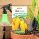 Seed Tomat "Banana Feet", 10 pcs