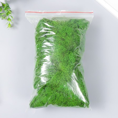 The moss stabilized "light green" 500 gr (+-5 gr).-2