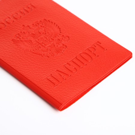 Cover for passport, red color-3