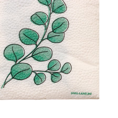 Napkins single -layer "eco" eucalyptus 24x24 cm, set of 20 pcs.-5
