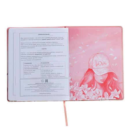 Universal Diary Grade 1-11, 48 sheets "Girl in the cap", solid covering of artificial leather, uplife, lies, universal cheat sheet, block 80 g/m2-12