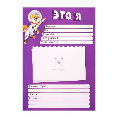 A4 Portfolio folder "Astronaut", calligrata top, solid cover, on rings, lightning around, for a student, 1 file, 8 liners-8
