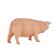 Figure Konik "Pig, female"