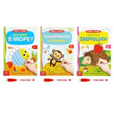 The books are reusable with the marker. The set “We are preparing a hand for letter No. 2”, 3 pcs. 12 p.