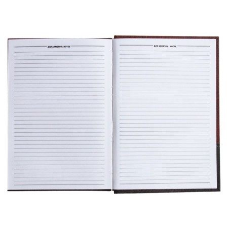 The diary half -dated for 4 years A5, 192 leaf "Bordeaux leather", silk, hard cover-9