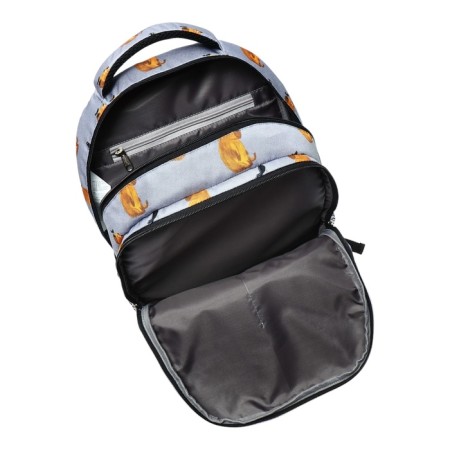 Youth backpack 42 x 27 x 19 cm, Erich Krause ActiveLine Ergoback 22l, Capybara-9