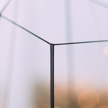 Florarium "Orchidarium" (Switch silver)-2