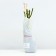 Saphenet Rosa Kul Water Spring 2024, 1 pc.