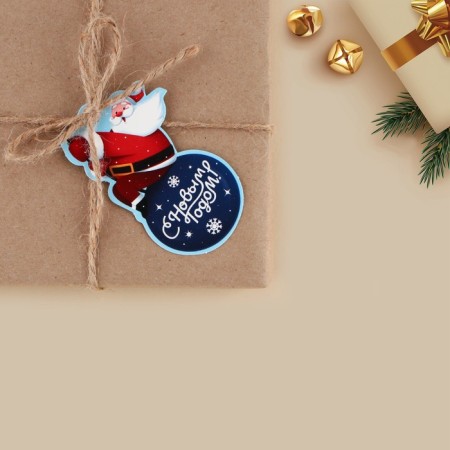 Schildik decorative for the gift "Santa Claus on the Ball", 4.6 x 7 cm, New Year-1