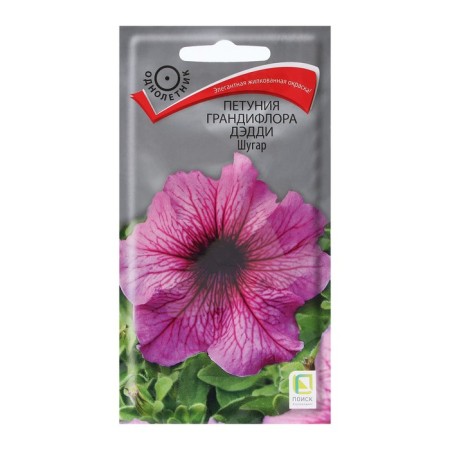 Grandiflora flowers "Daddy Shugar" 10 pcs