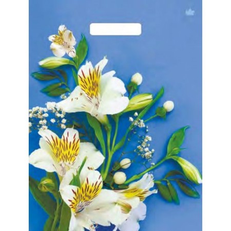 Package "Lilia Snow White", polyethylene, with a cut pen, 31 x 40 cm, 60 μm